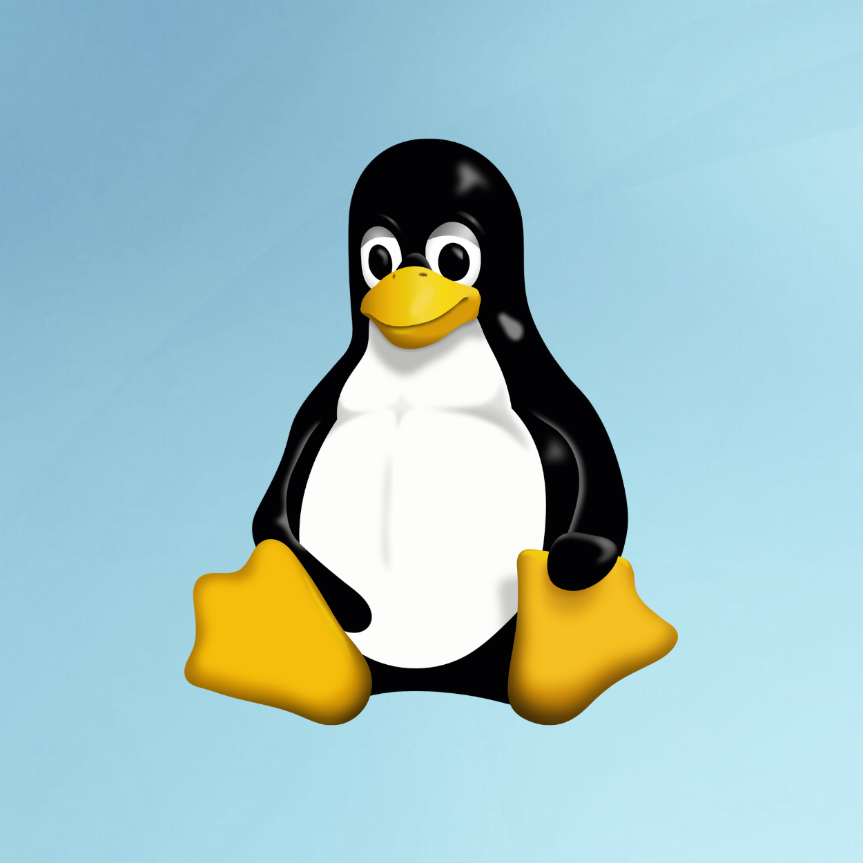 Linux-ის ინსტალაცია