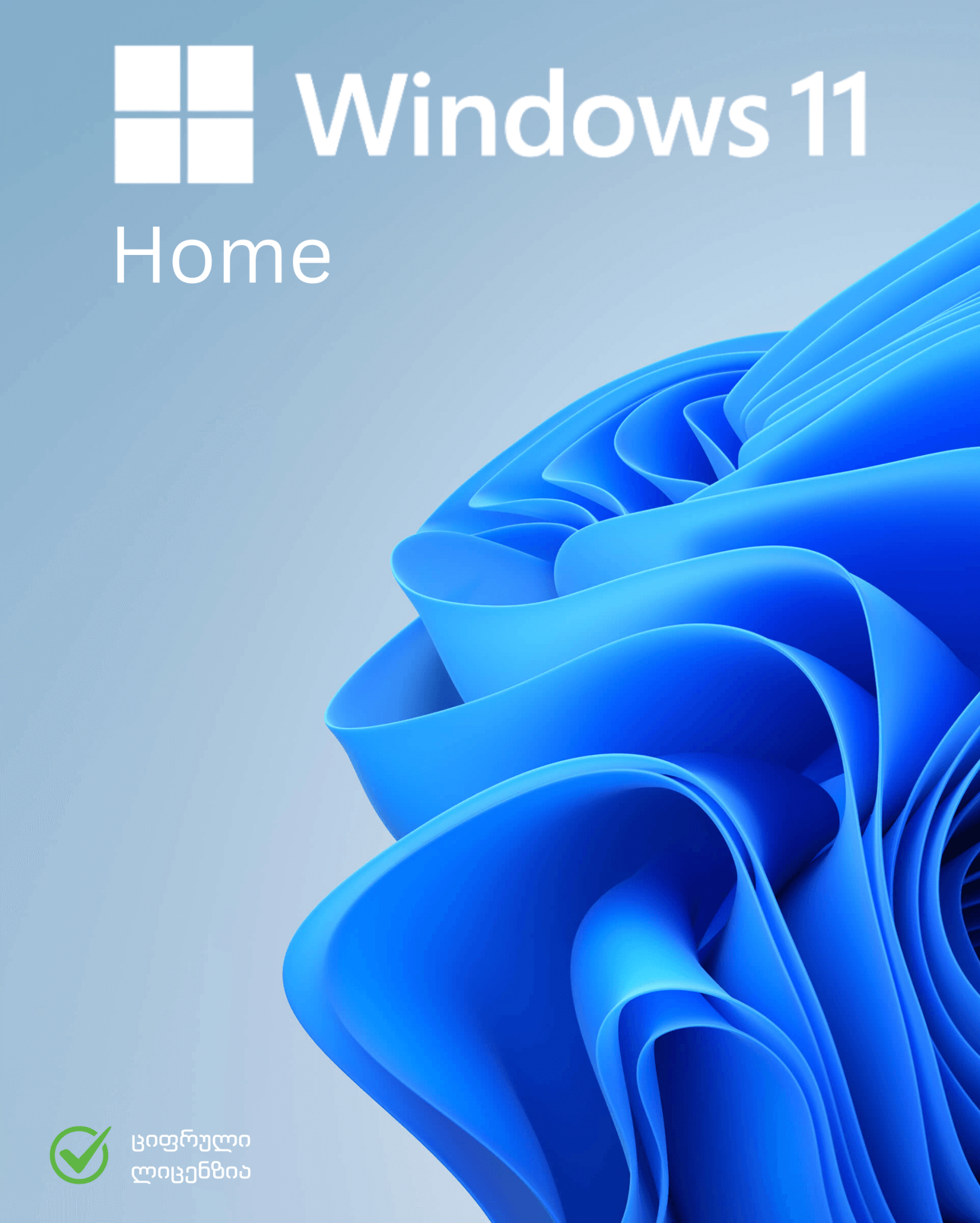 Windows 11 Home - B2Service