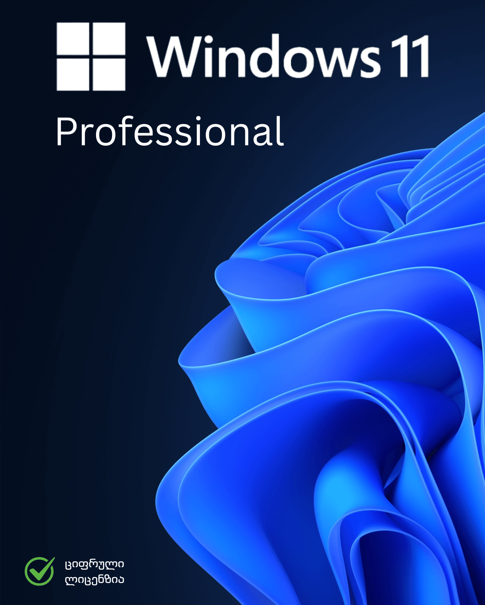 Windows 11 Pro - B2Service